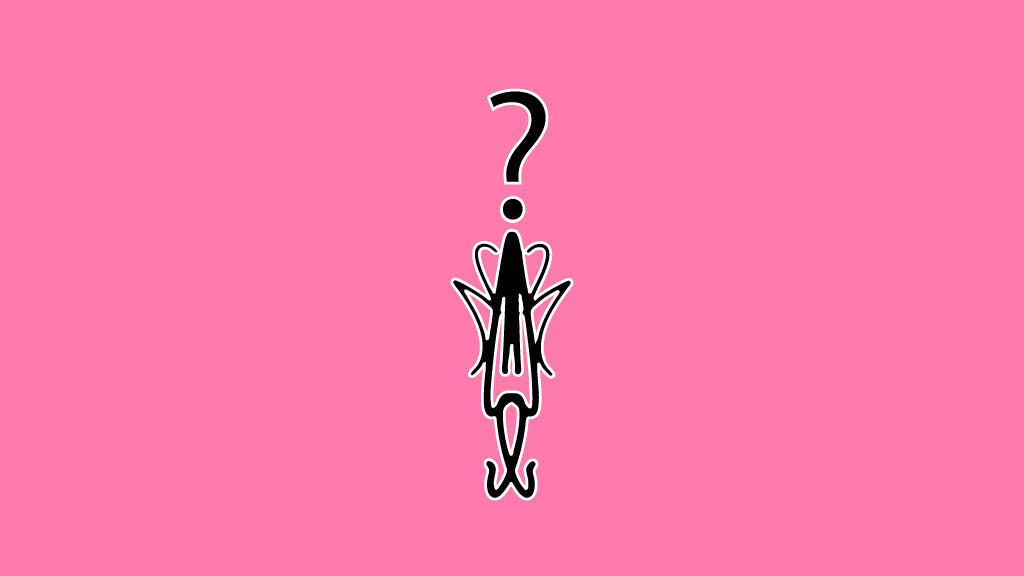 2 Shirts + Accessory Mystery Box