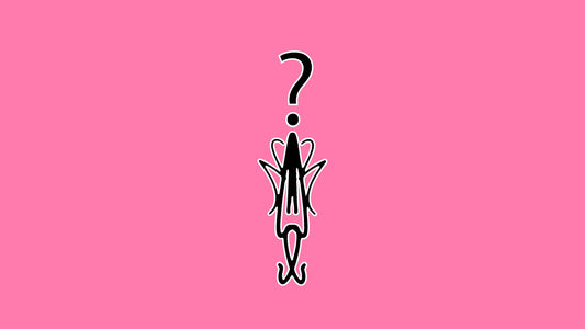 2 Shirts + Accessory Mystery Box
